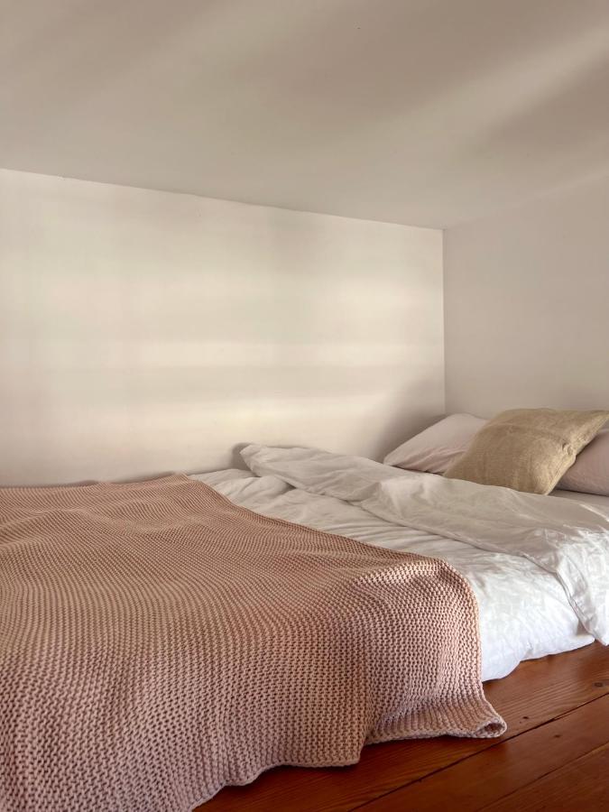 Chic Apartment In The Center Of Cracow Krasków Exteriör bild